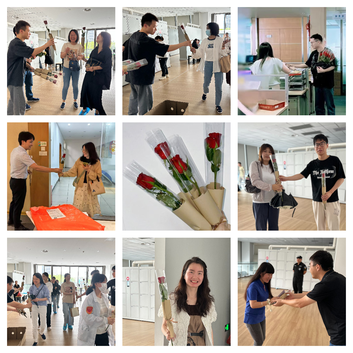 以玫瑰之名，致敬每一个发光的你(图2)